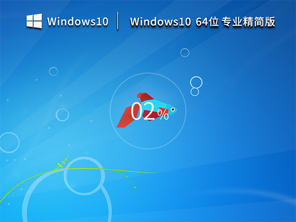 Windows10 22H2 64位最新专业精简版 V2023.03