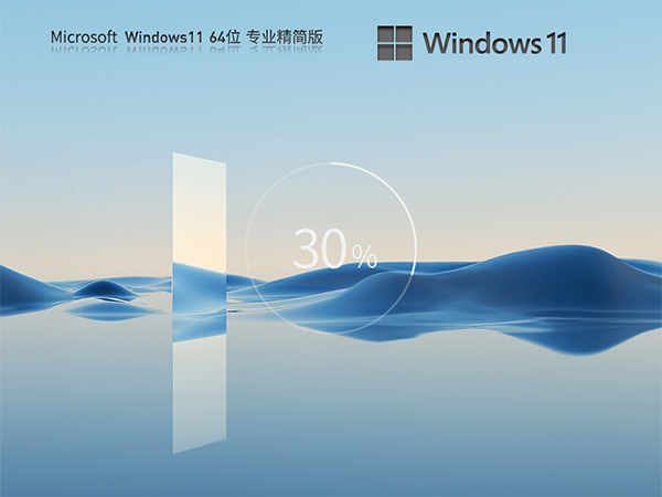 Windows11 22H2 22621.2070 X64 专业精简版 V2023.07