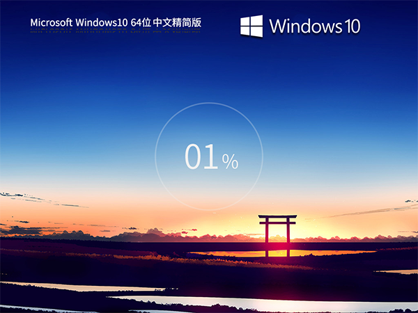 Windows10 22H2 19045.2846 X64 中文精简版