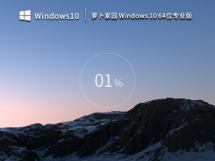 萝卜家园Windows10系统64位专业版 V2023.03