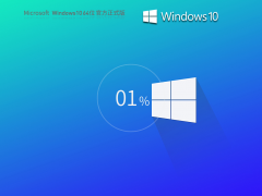 Windows10系统官方正式版 V19045.2913