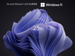Windows11系统22H2.22621.1788 64位专业精简版 V2023.06