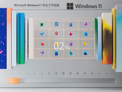 Windows11系统64位专业工作站版 V2023.06