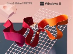 Windows11系统64位中文家庭版 V2023.06