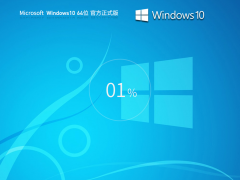 Windows10系统64位官方专业版 V190453031