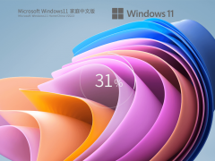 家庭/个人Windows11系统64位家庭中文版